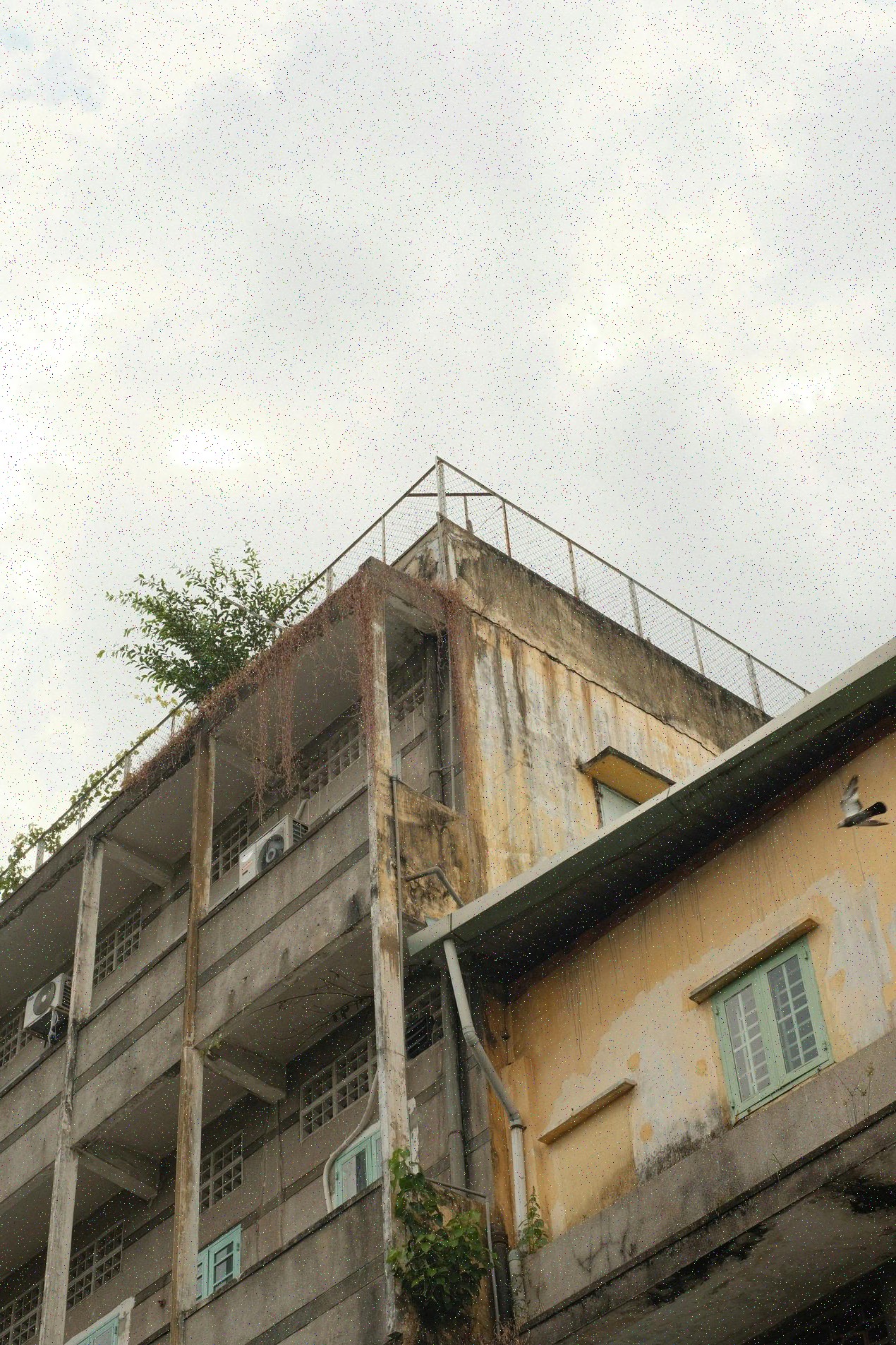 Renovace palubní desky